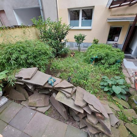 Garden Apartment Kolín nad Rýnem Exteriér fotografie
